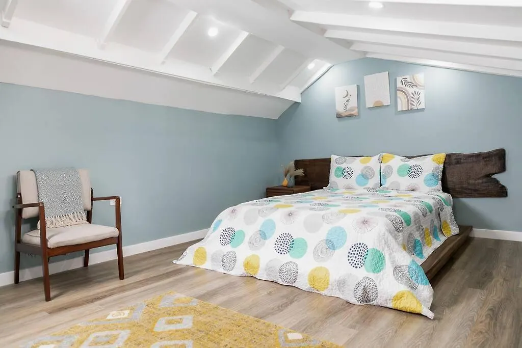 Carter'S Nest Villa - New Kingston - Fiwi